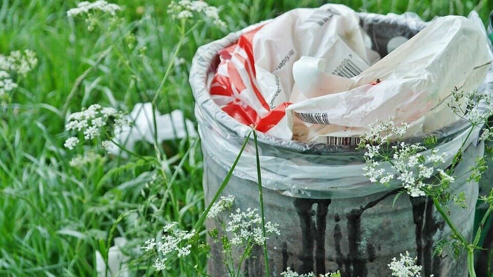 ¿Cómo afectará la Ley de Reciclaje a la industria salmonicultora?