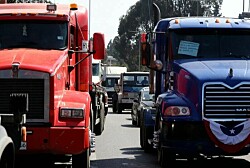 ¿Cómo afectó el paro de camioneros a la industria salmonicultora?