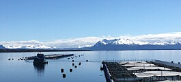 ¿Cómo lograr una industria del salmón sustentable en Magallanes?