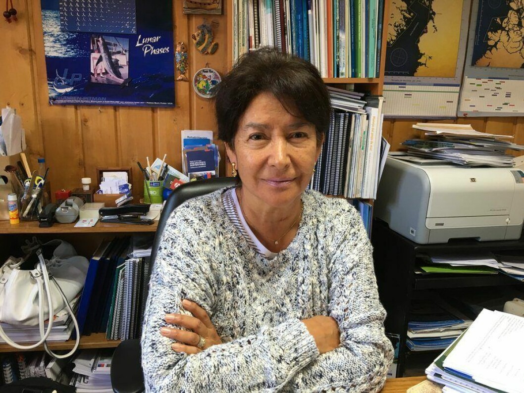 Dra. Sandra Bravo, académica e investigadora de la UACH. Foto: UACH.