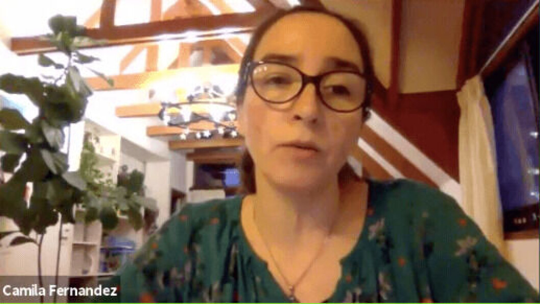 Dra. Camila Fernández, investigadora asociada del Centro Incar. Dra. Camila Fernández, investigadora asociada del Centro Incar.
