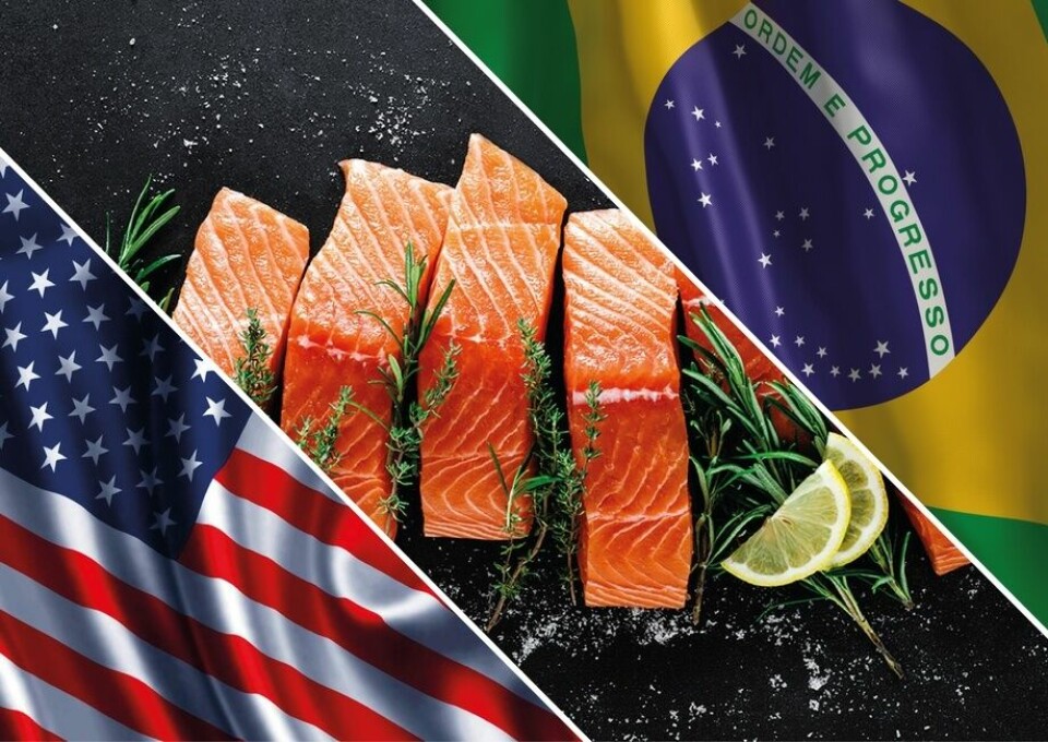 Al décimo mes del año, el valor de envíos de salmónidos a EEUU y Brasil fue de US$1.882 millones y US$552 millones, respectivamente. Foto: Archivo Salmonexpert