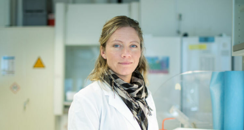 Sara Calabrese ha pasado cuatro años investigando las mejores condiciones para el cultivo de peces en sistemas cerrados Foto: Eivind Senneset, UiB.