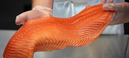 Precio del salmón en EE.UU. aumenta en más del 30%