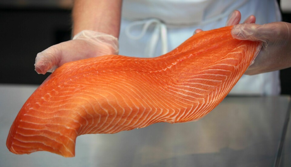Imagen referencial de salmón. Foto: Archivo Salmonexpert.