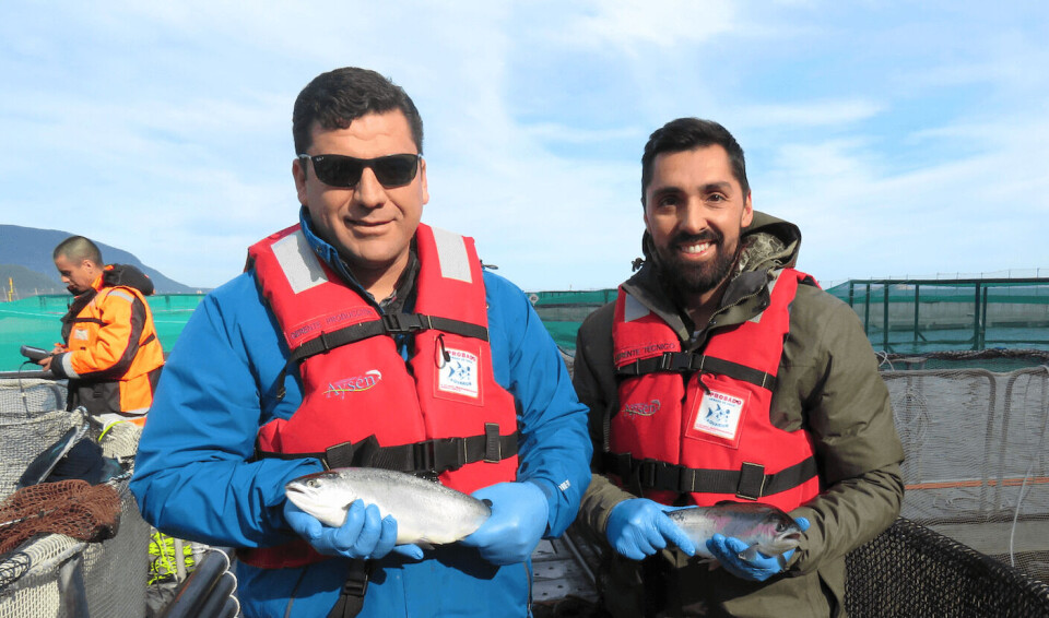 Óscar Barraza y David Garrido, gerentes de Salmones Aysén. Foto: Jonathan Garcés, Salmonexpert.