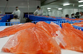 ¿Los precios nunca antes vistos del salmón chileno podrían afectar la demanda?