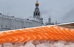 ¿Qué consecuencias puede tener la invasión de Rusia a Ucrania para la salmonicultura?
