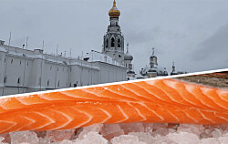 Dos plantas salmonicultoras de Quellón son desbloqueadas por Rusia