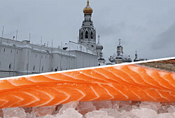 Dos plantas salmonicultoras de Quellón son desbloqueadas por Rusia