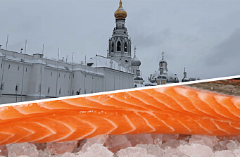 ¿Qué consecuencias puede tener la invasión de Rusia a Ucrania para la salmonicultura?