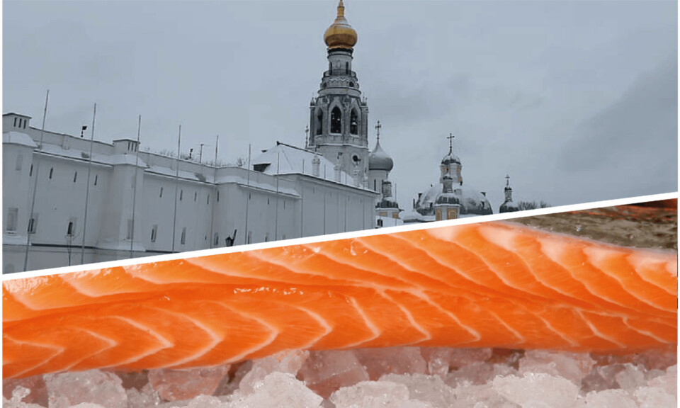 Las complejidades geopolíticas de Rusia, han incidido negativamente en las cifras exportadas de salmón chileno. Foto: Archivo Salmonexpert.