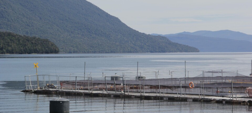 “El actual boom de precios no es sostenible en el tiempo”