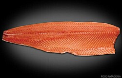 Precio del salmón noruego anotó leve baja