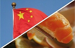 ¿Recuperación? Exportaciones de salmón chileno a China se duplican en noviembre