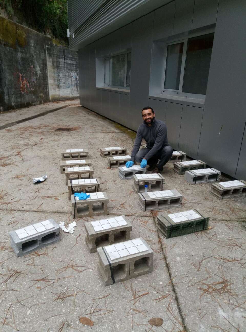 Preparación de experimentos de campo.