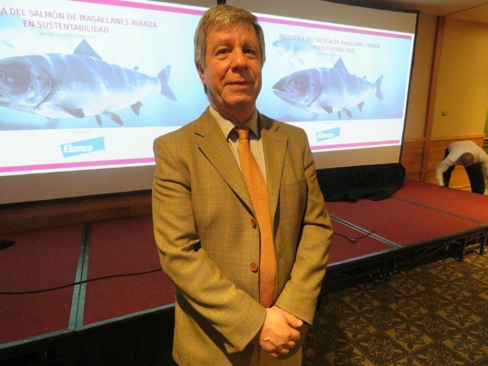 Nicos Nicolaides, gerente general de Nova Austral. Foto: Archivo Salmonexpert.