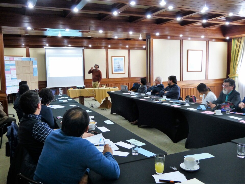 Cerca de 20 representantes del sector público, organizaciones gremiales y la academia, asistieron al taller en Puerto Montt. Foto: Loreto Appel, Salmonexpert.