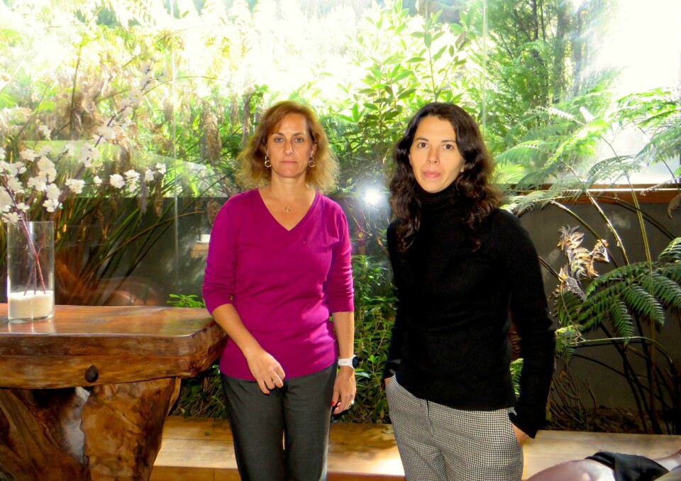 Joanna Davidovich, directora ejecutiva del Consejo del Salmón y Mónica Cortés, directora legal del gremio. Foto: Karla Faundez, Salmonexpert.