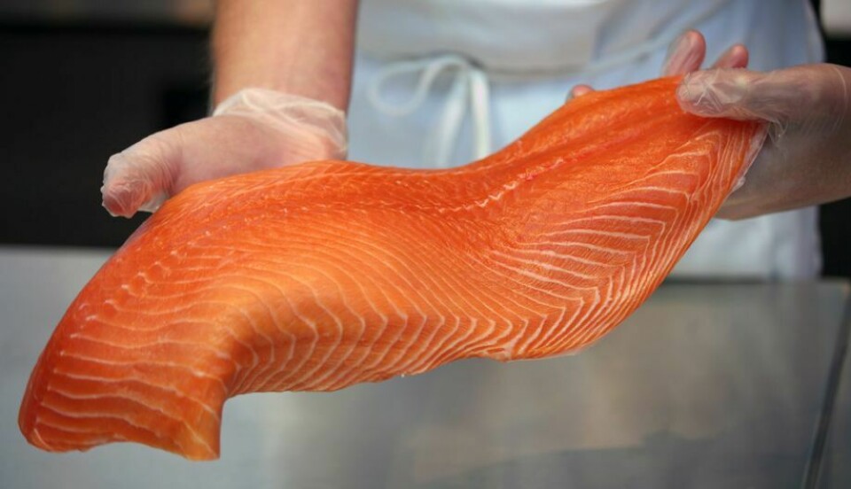 Imagen referencial de filete de salmón. Foto: Archivo Salmonexpert.