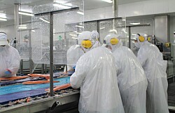 Autoridad rusa levanta restricciones a nueva planta de salmonicultora chilena