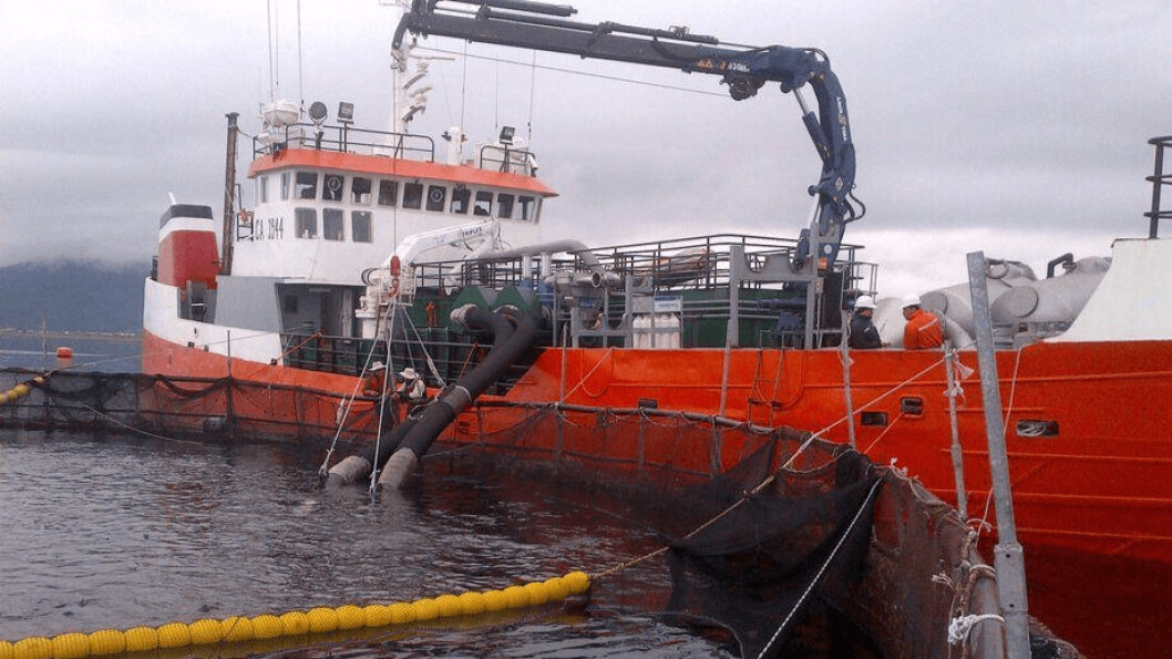 Wellboat. Foto: Archivo Salmonexpert. Wellboat. Foto: Archivo Salmonexpert.