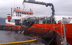 Advierten que abrir cabotaje marítimo en Chile generará competencia desleal