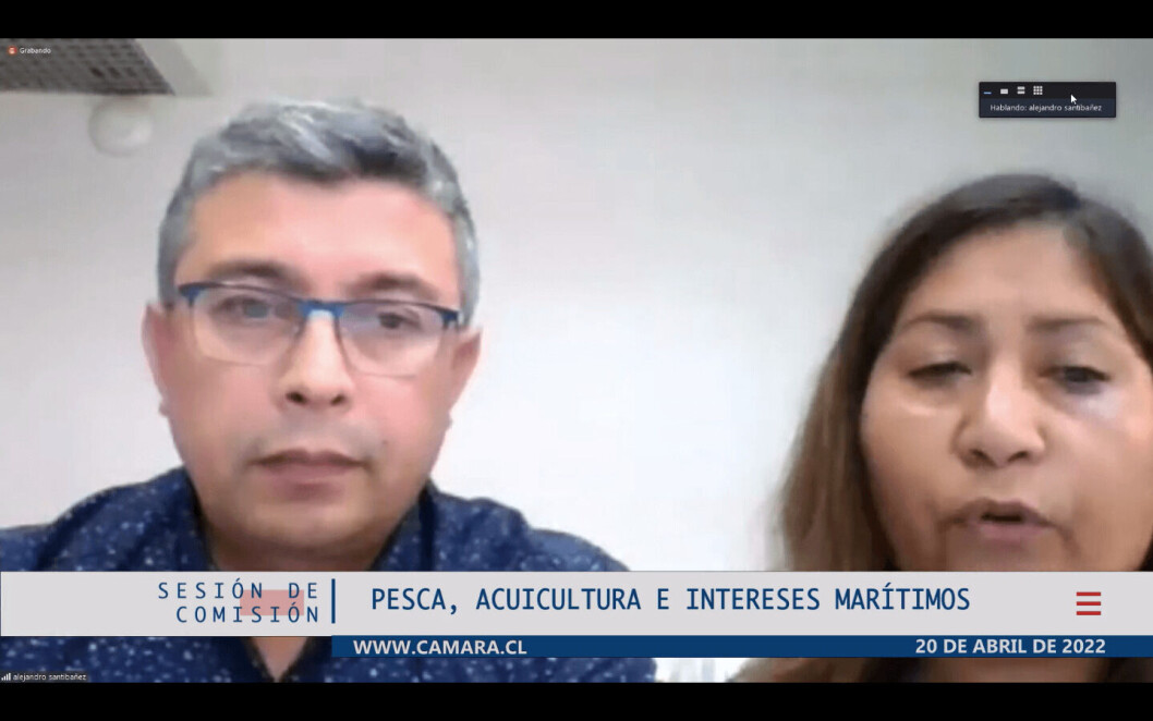 Alejandro Santibáñez, presidente, y Myriam Chávez, secretaria general de la Multisindical de Trabajadores de la Industria del Salmón y Ramas Afines. Alejandro Santibáñez, presidente, y Myriam Chávez, secretaria general de la Multisindical de Trabajadores de la Industria del Salmón y Ramas Afines.