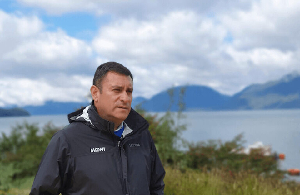 Fernando Villarroel, gerente general de Mowi Chile. Imagen: Salmonexpert.