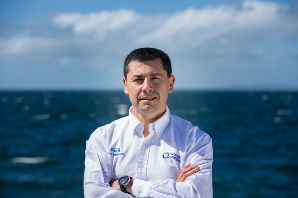 Gerente de Administración y Finanzas de Salmones Austral, Claudio Melgarejo. Foto: Salmones Austral.