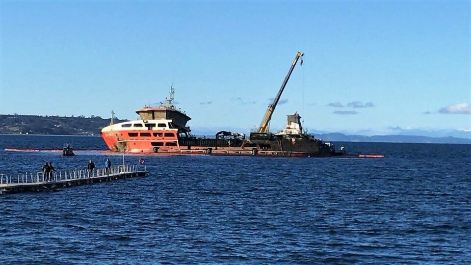 La maniobra de reflote tomó nueve horas. Foto: CPT.