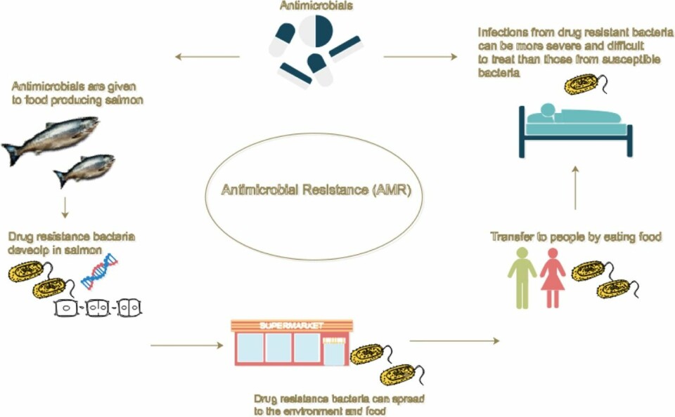 Esquema de la generación de la resistencia antimicrobiana (hacer click en la imagen para ampliar). Fuente: Lozano-Muñoz y col. 2021.