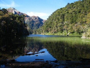 La Ley Lafkenche y el proceso de establecimiento de caladeros de pesca han sido los temas centrales que la industria espera resolver para avanzar en relocalizaciones. Imagen: Bitcoin Patagonia. La Ley Lafkenche y el proceso de establecimiento de caladeros de pesca han sido los temas centrales que la industria espera resolver para avanzar en relocalizaciones. Imagen: Bitcoin Patagonia.