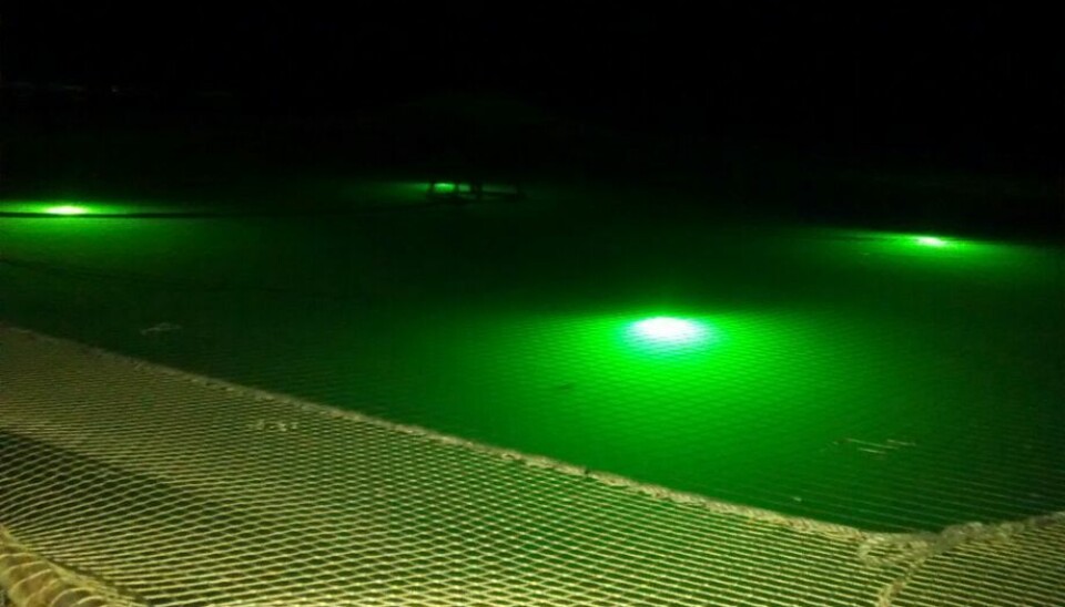 Foto: Archivo Salmonexpert.