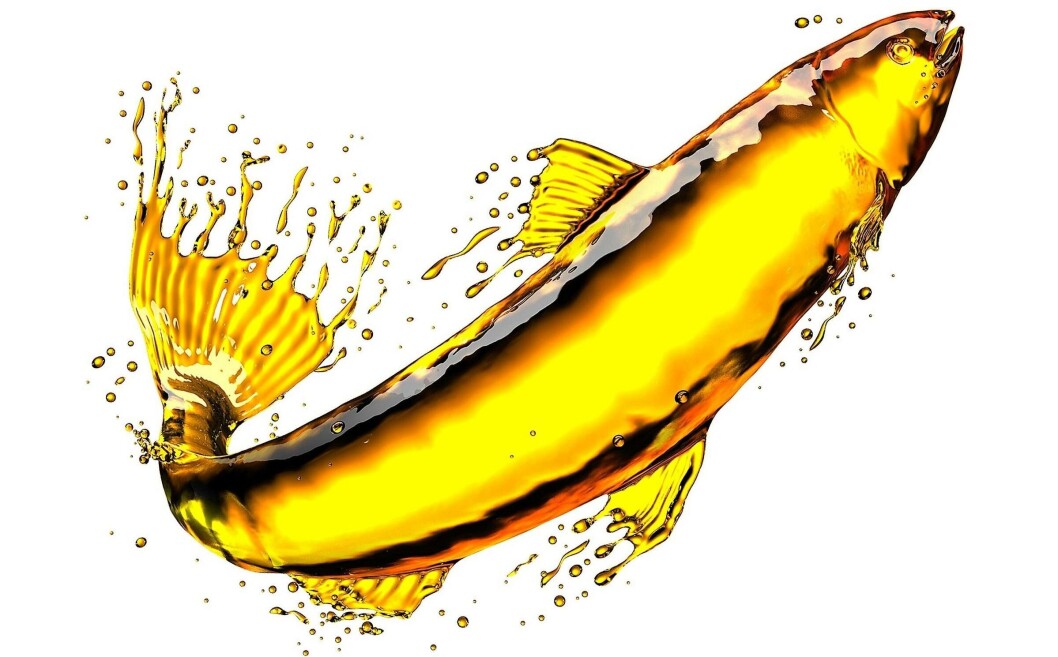 En 20 años, la dependencia de harina y aceite de pescado para el salmón chileno ha bajado 50 puntos porcentuales. Foto: Pixabay. En 20 años, la dependencia de harina y aceite de pescado para el salmón chileno ha bajado 50 puntos porcentuales. Foto: Pixabay.