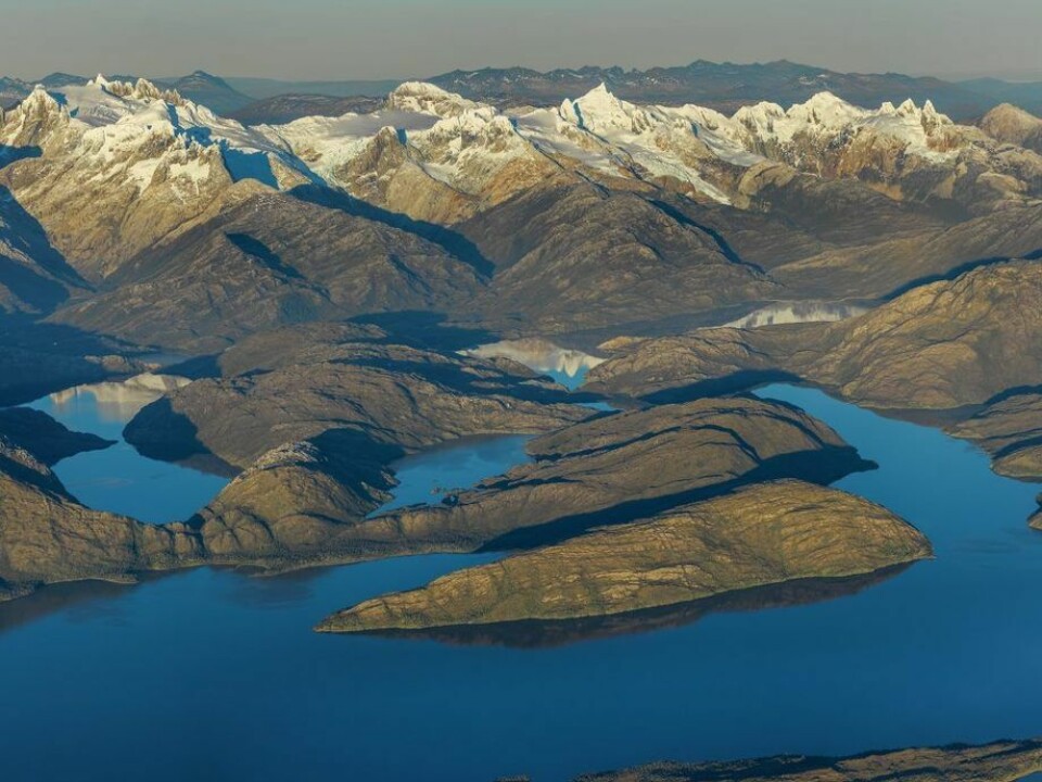 Reserva Nacional Kawésqar. Foto: Conaf.