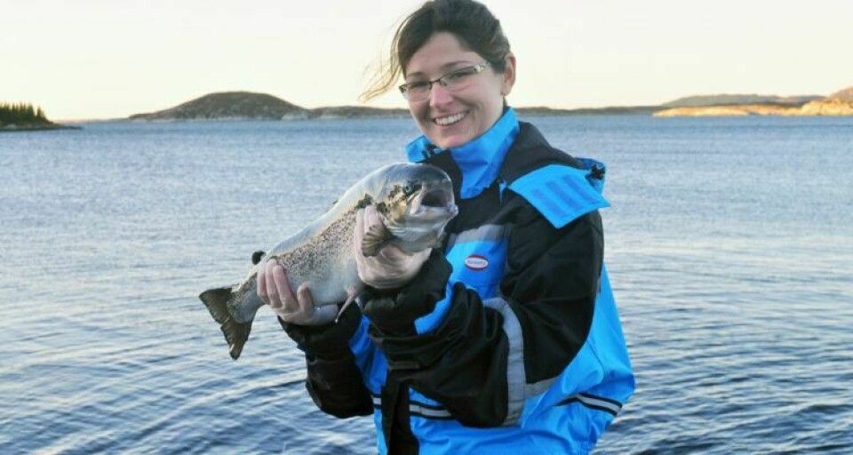Marta Bou Mira estudió la cantidad de grasas marinas que necesitan los peces para una buena salud. Foto archivo: Kjellrun Hoås Gannesta / Nofima.