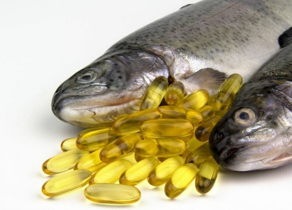 Fresh Rainbow trout and fish oil capsules