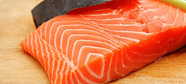 Noruega: precio del salmón desciende nuevamente