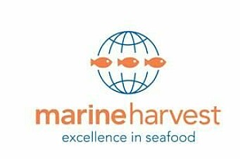 Marine Harvest Group certificará todo su salmón bajo ASC al 2020
