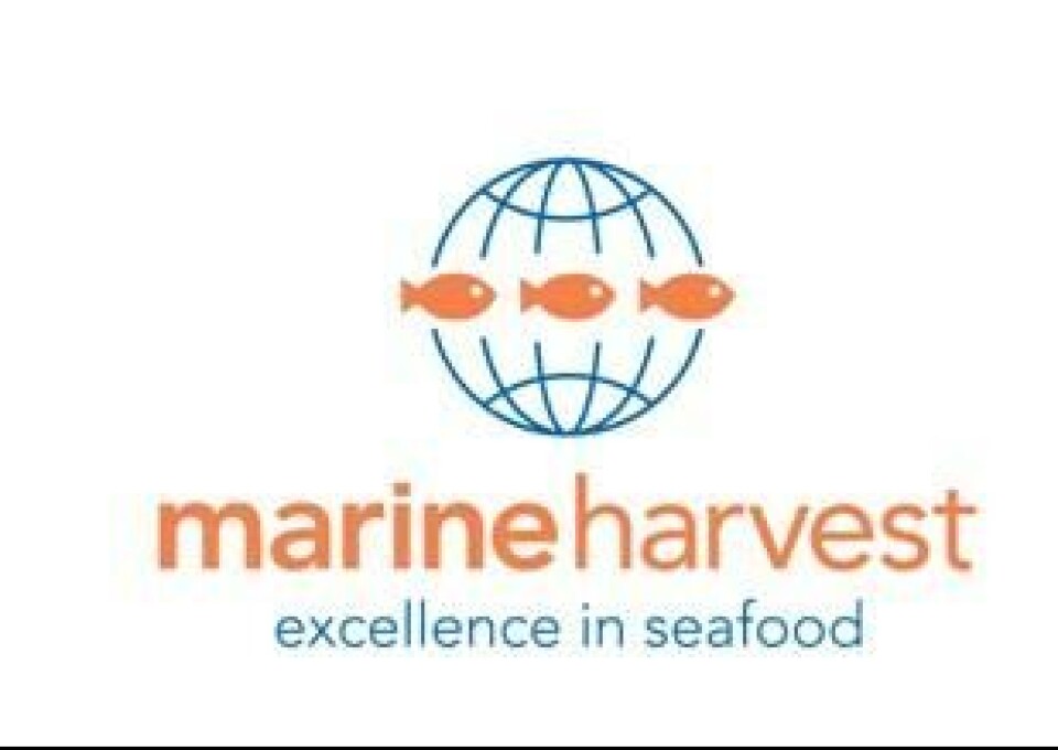Marine Harvest Group certificará todo su salmón bajo ASC al 2020