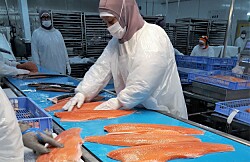 1 de cada 2 personas conocen la salmonicultura por sus trabajadores