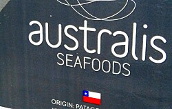 Realizan alegatos por proyecto de Australis Seafoods en Magallanes