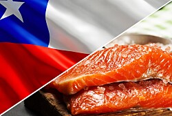 Chilenos registran su mayor consumo de salmón per cápita