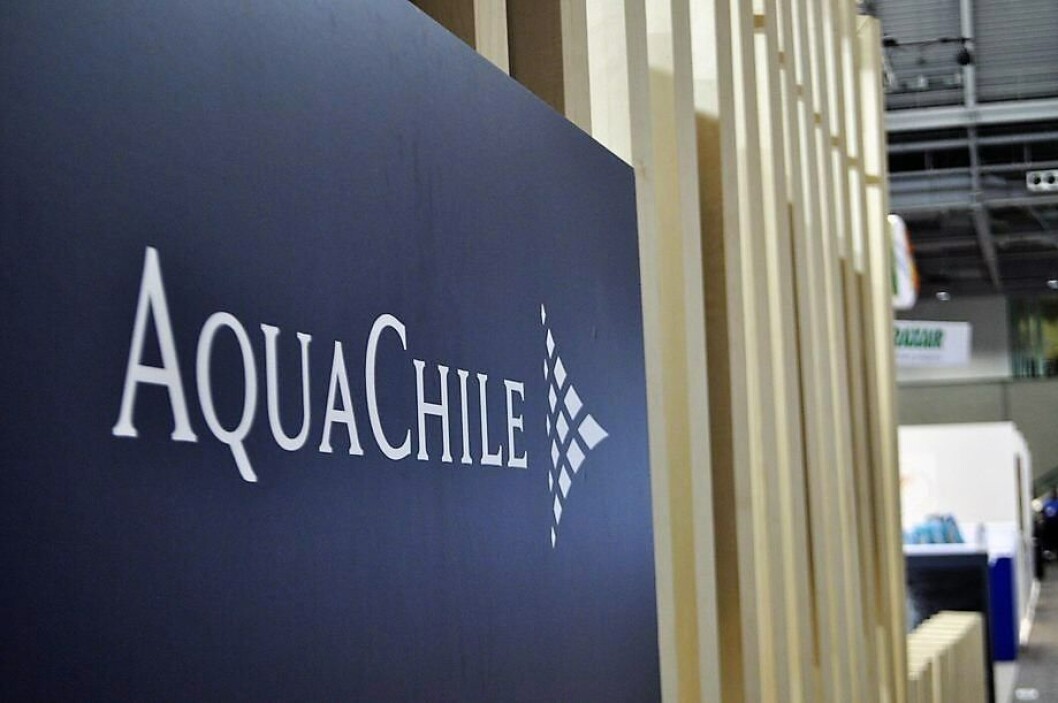 Foto: AquaChile. Foto: AquaChile.
