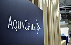 Ranking ubica a AquaChile como mejor salmonicultora en pagar a Pymes