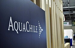 AquaChile presenta mejor índice del país en ranking de cumplimiento con Pymes