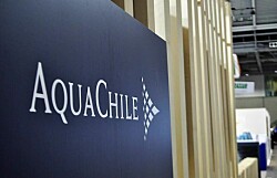 AquaChile evita hundimiento de bodega en Quellón