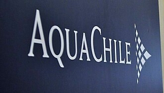 La estrategia de AquaChile para tener la mejor velocidad de pago en salmonicultura