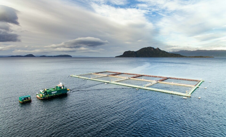 Imagen referencial de centro de cultivo de salmónidos. Foto: Archivo Salmonexpert.